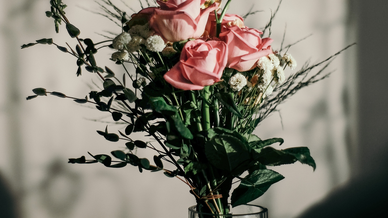 Red and White Roses in Clear Glass Vase. Wallpaper in 1280x720 Resolution