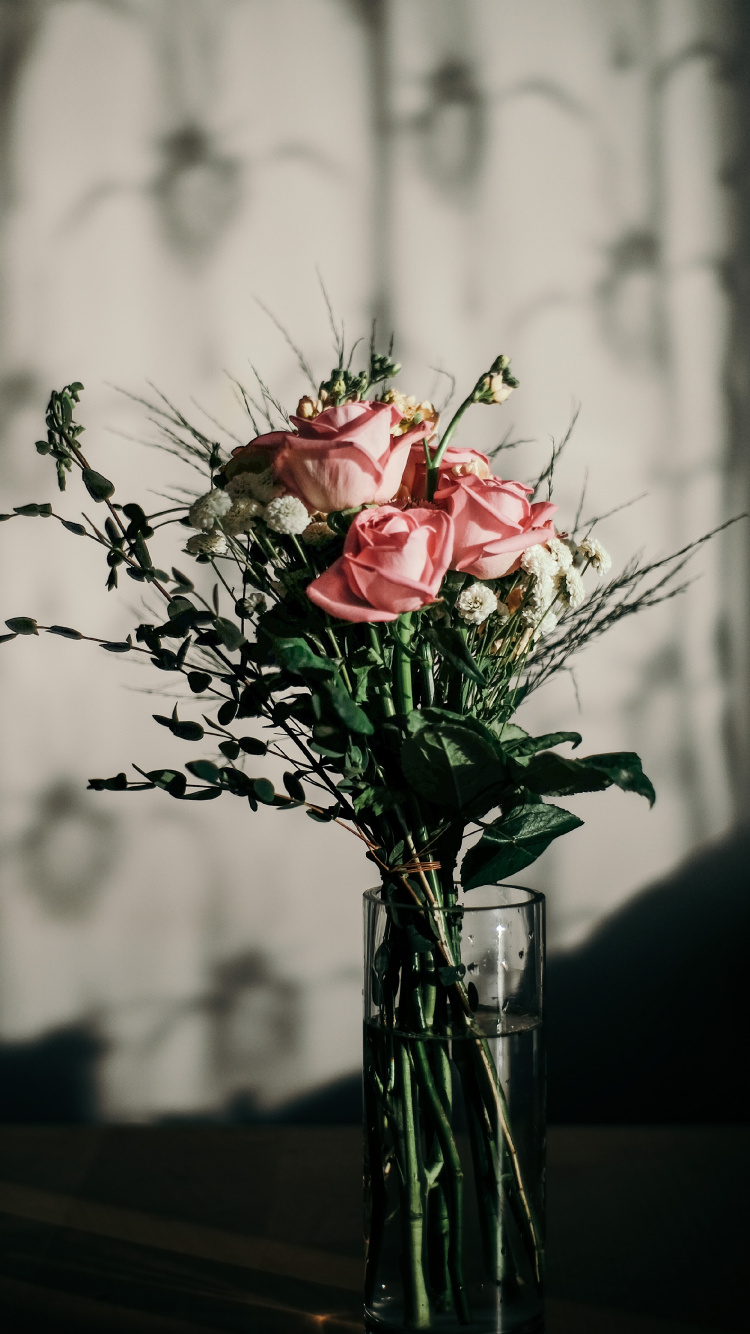 Roses Rouges et Blanches Dans un Vase en Verre Transparent. Wallpaper in 750x1334 Resolution