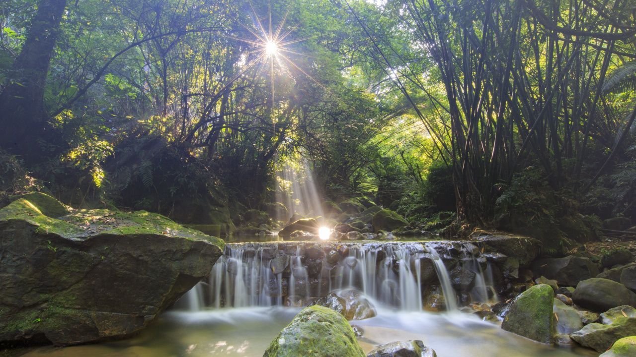 Cascades en Forêt Pendant la Journée. Wallpaper in 1280x720 Resolution