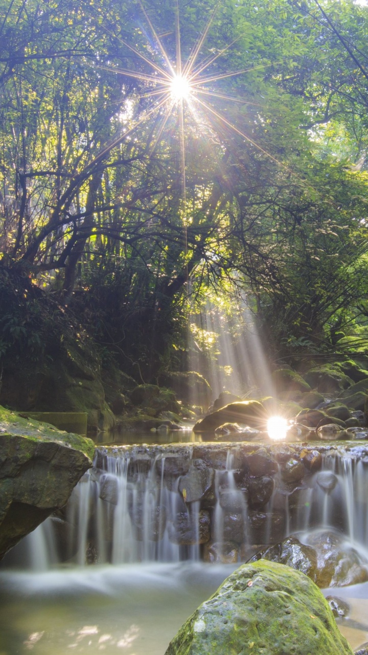 Waterfalls in Forest During Daytime. Wallpaper in 720x1280 Resolution