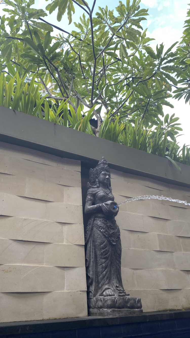 Wall, Palm Trees, Biology, Science, Nature. Wallpaper in 750x1334 Resolution