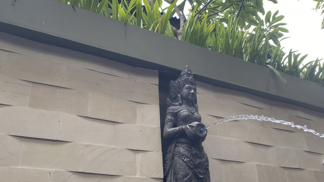 棕榈树, 生物学, 科学, 性质, 植被 壁纸 1280x720 允许