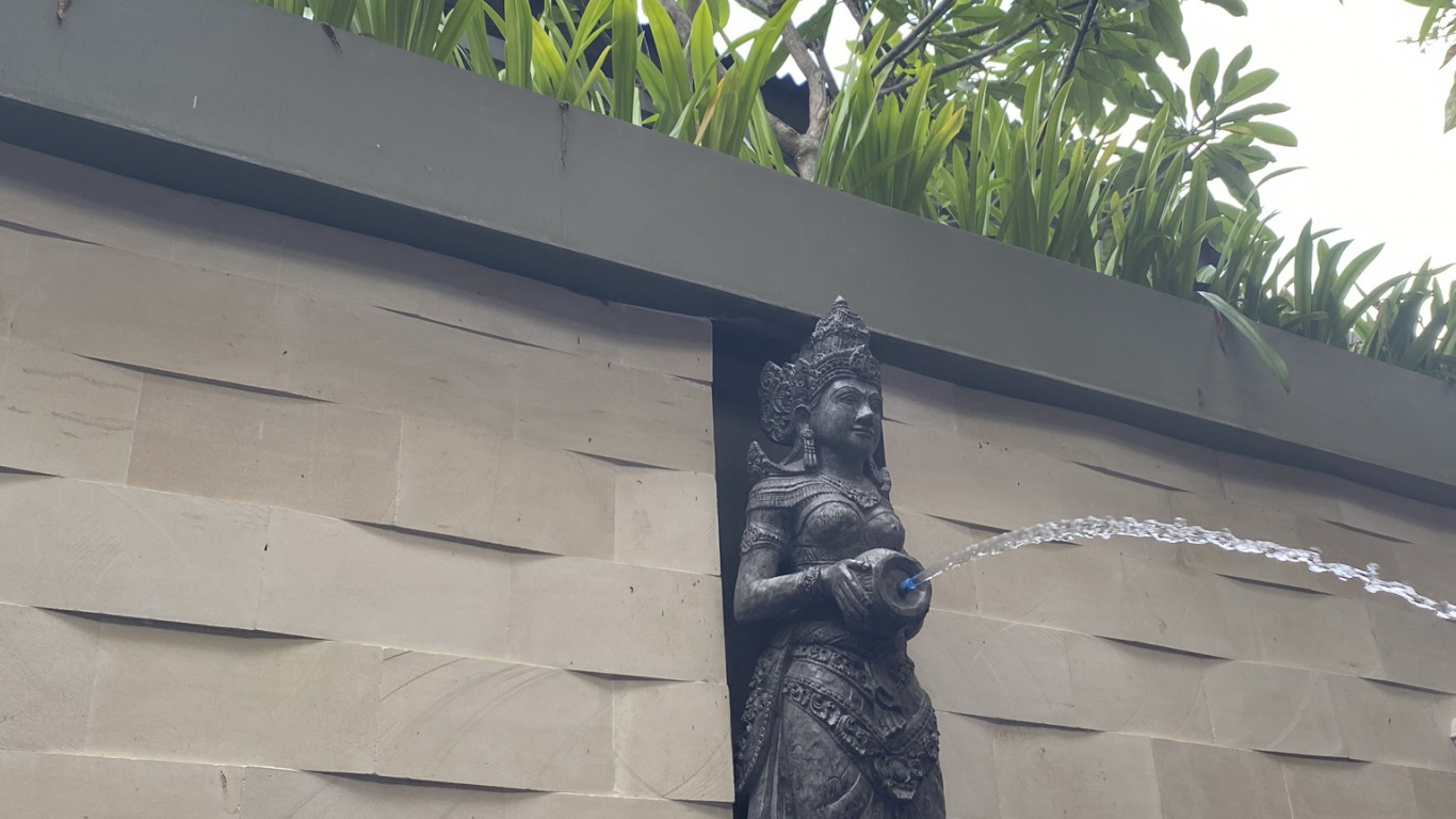 棕榈树, 生物学, 科学, 性质, 植被 壁纸 1366x768 允许