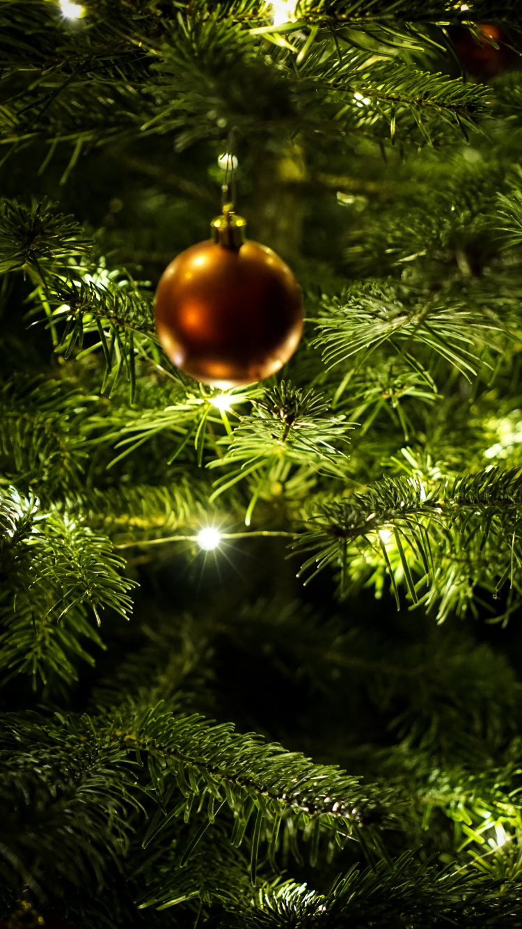 Nouvelle Année, Le Jour De Noël, Ornement de Noël, Décoration de Noël, Arbre de Noël. Wallpaper in 750x1334 Resolution