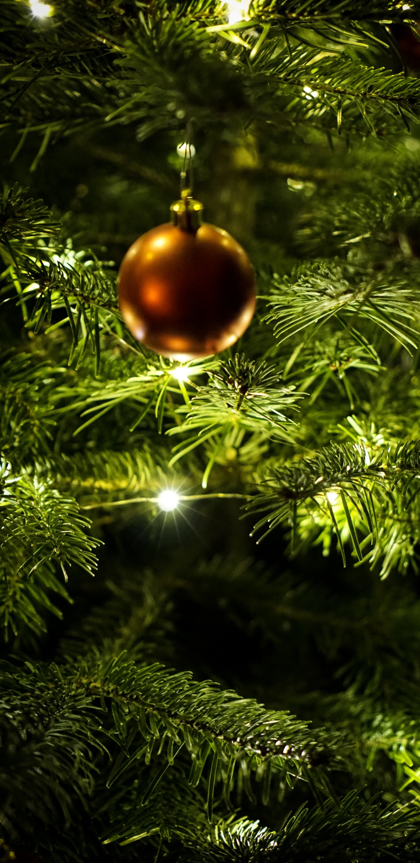 New Year, Christmas Day, Christmas Ornament, Christmas Decoration, Christmas Tree. Wallpaper in 1440x2960 Resolution
