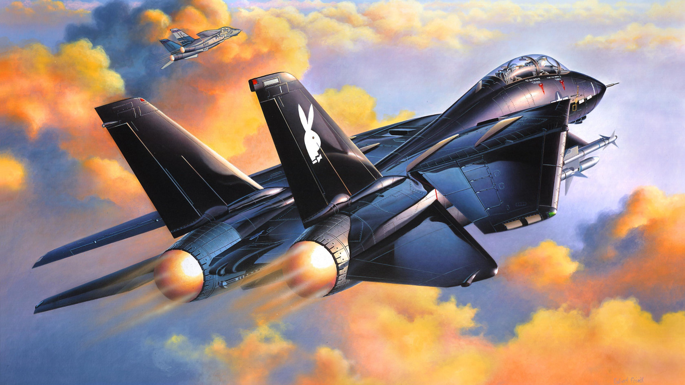 Schwarzes Düsenflugzeug in Der Luft Während Des Tages. Wallpaper in 1366x768 Resolution