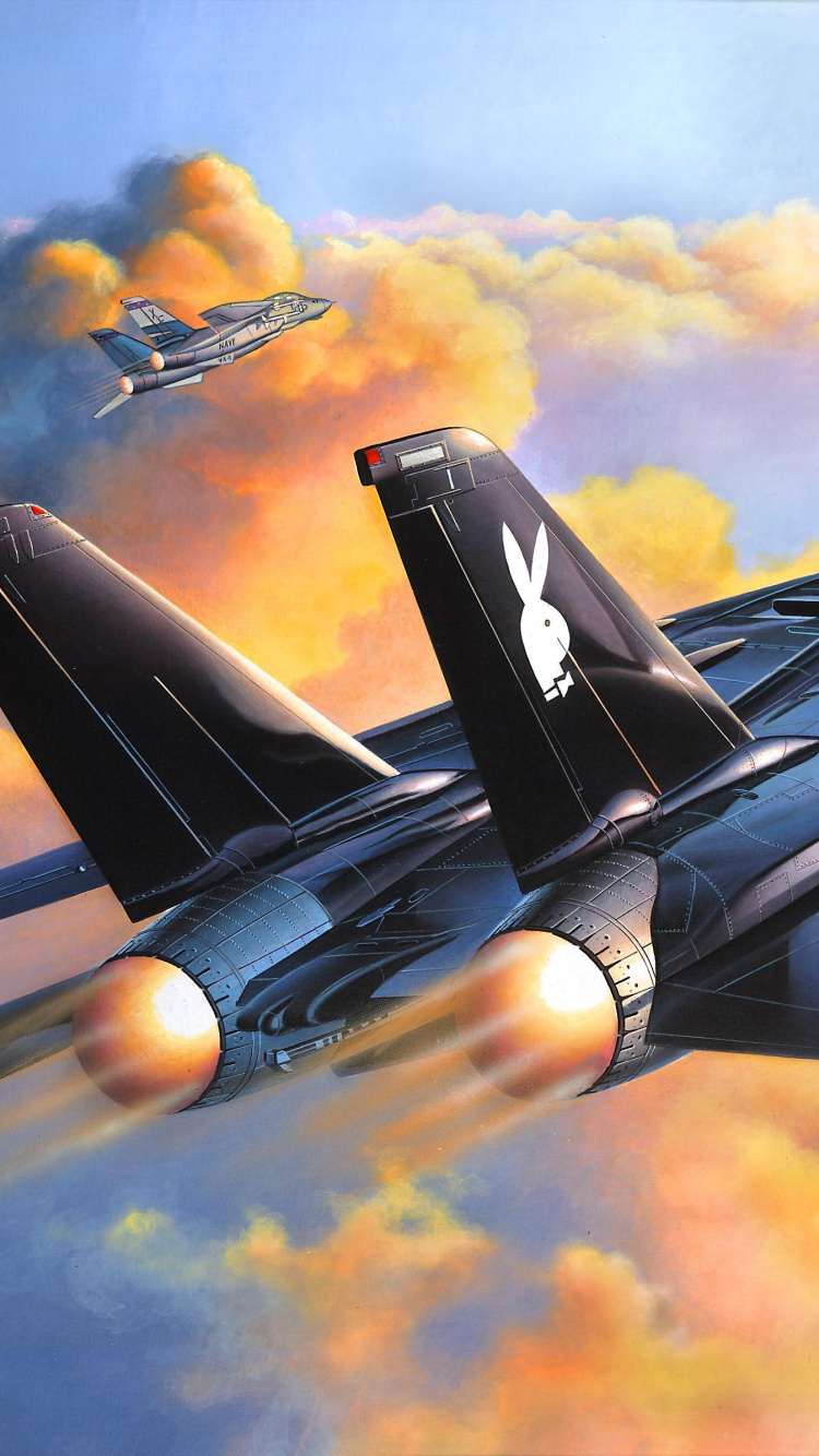 Schwarzes Düsenflugzeug in Der Luft Während Des Tages. Wallpaper in 750x1334 Resolution