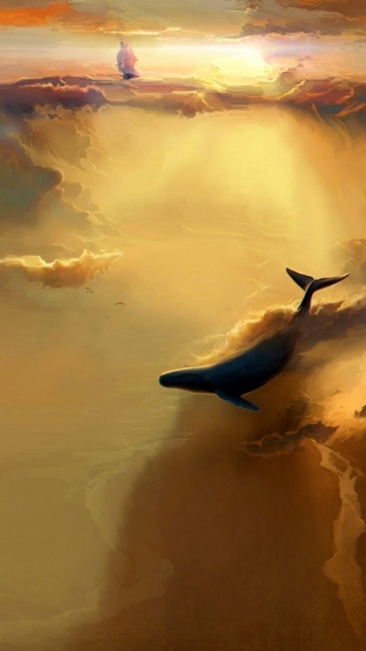 Pájaro Volando Sobre Las Nubes Durante el Día. Wallpaper in 720x1280 Resolution