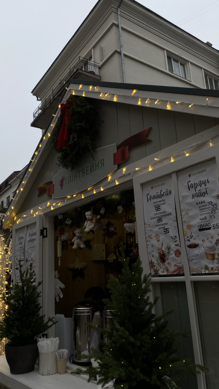 House, Roof, Flowerpot, Door, Christmas Decoration. Wallpaper in 750x1334 Resolution