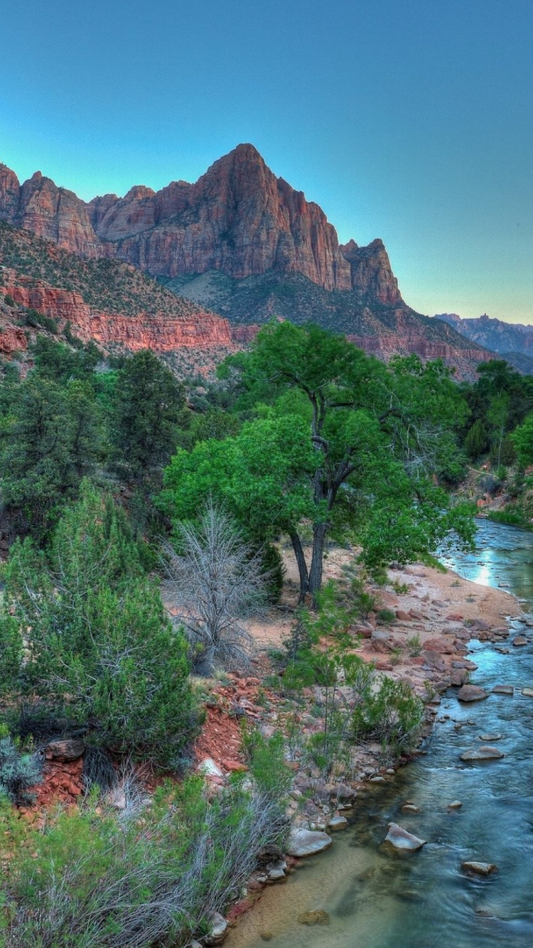 Arbres Verts Près de la Montagne Brune Sous Ciel Bleu Pendant la Journée. Wallpaper in 750x1334 Resolution