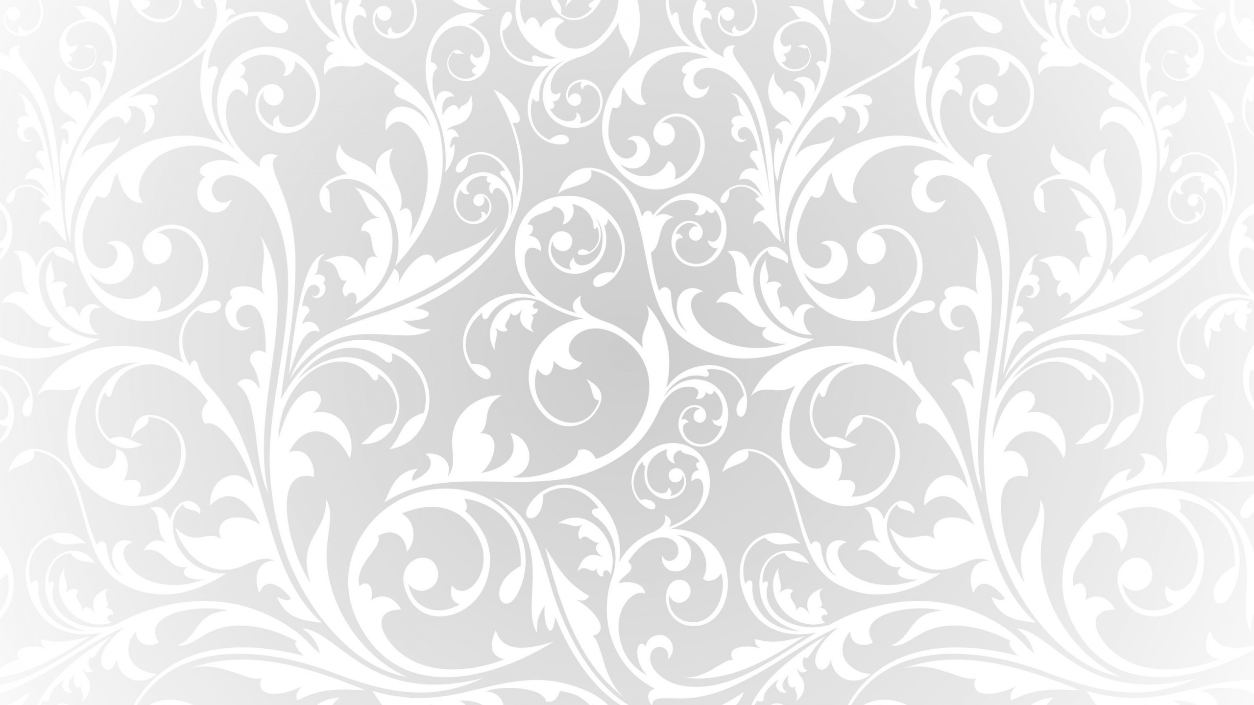 Ilustración Floral Blanco y Negro. Wallpaper in 2560x1440 Resolution