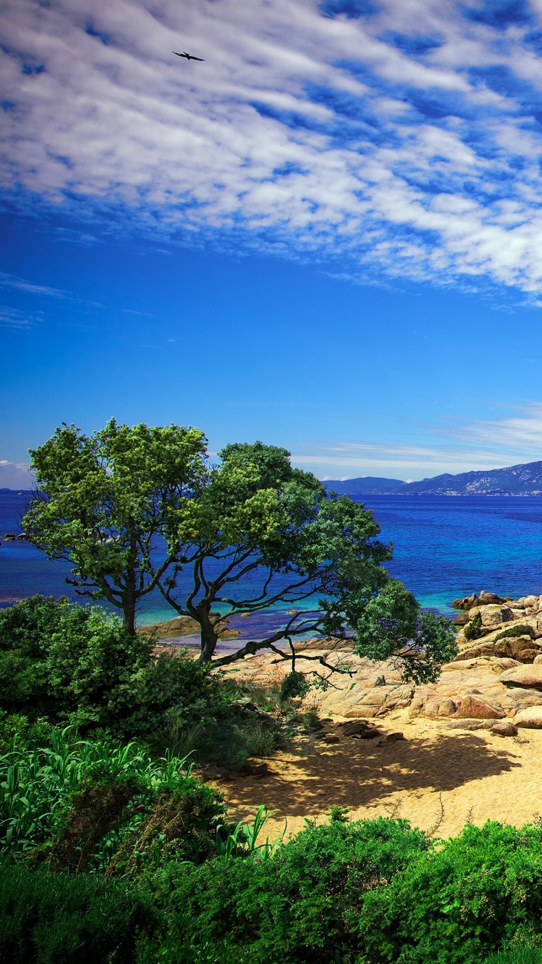 Green Trees Near Body of Water Under Blue Sky During Daytime. Wallpaper in 1080x1920 Resolution