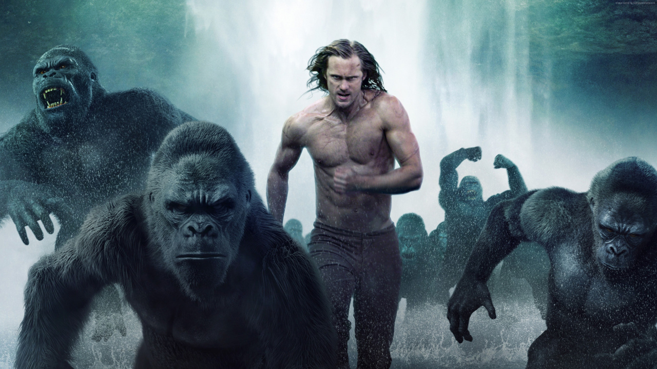 Hombre en Topless y Gorila en el Bosque. Wallpaper in 1280x720 Resolution