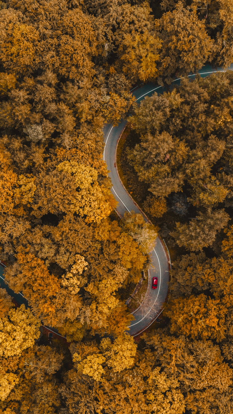 Boden, Bernstein, Asphalt, Fahrbahn, Gras. Wallpaper in 750x1334 Resolution