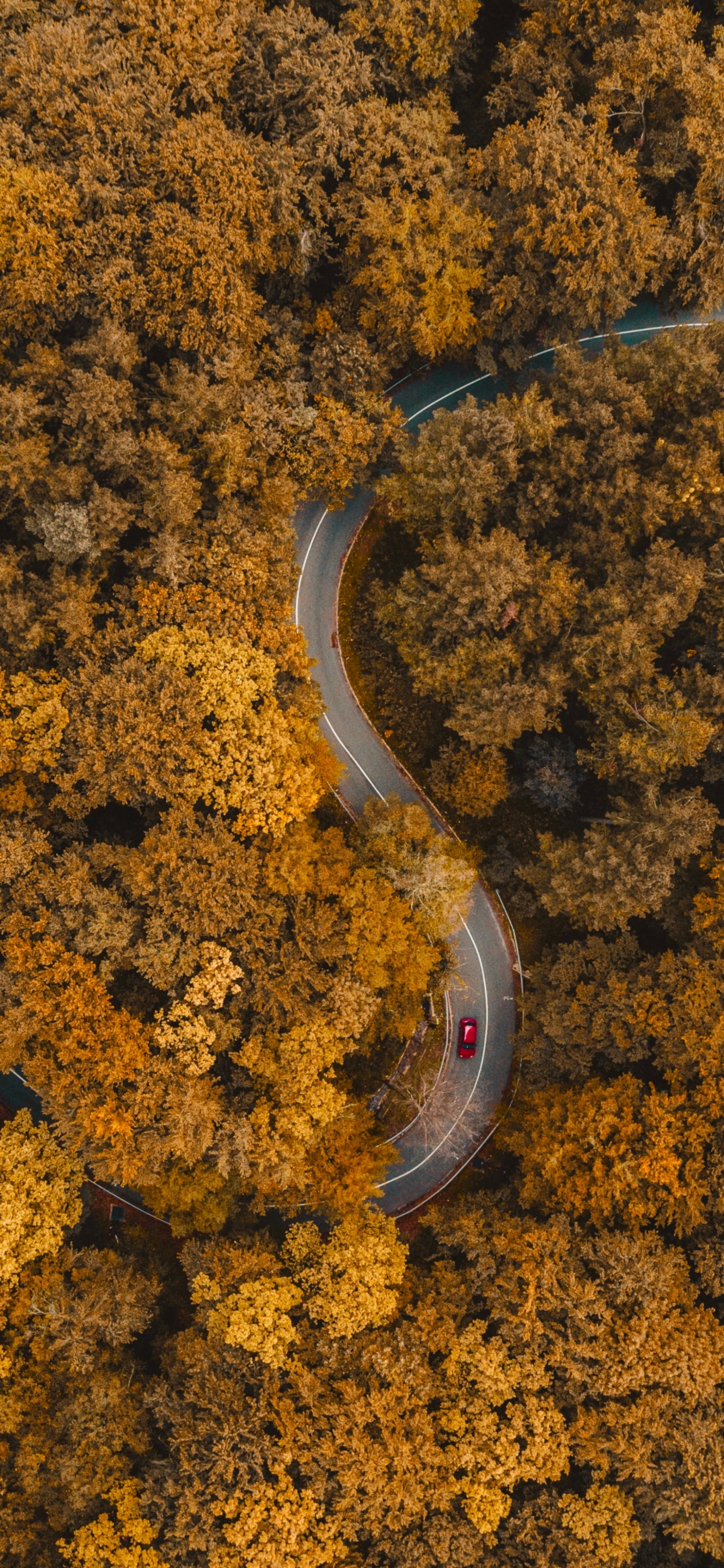 Suelo, Ambar, Asfalto, la Superficie de la Carretera, Paisaje Natural. Wallpaper in 1242x2688 Resolution
