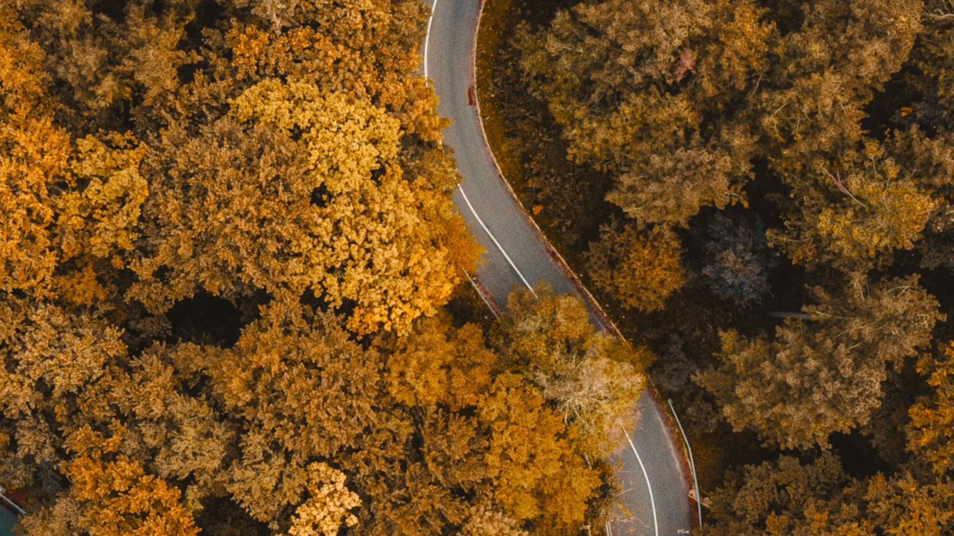 Suelo, Ambar, Asfalto, la Superficie de la Carretera, Paisaje Natural. Wallpaper in 1366x768 Resolution