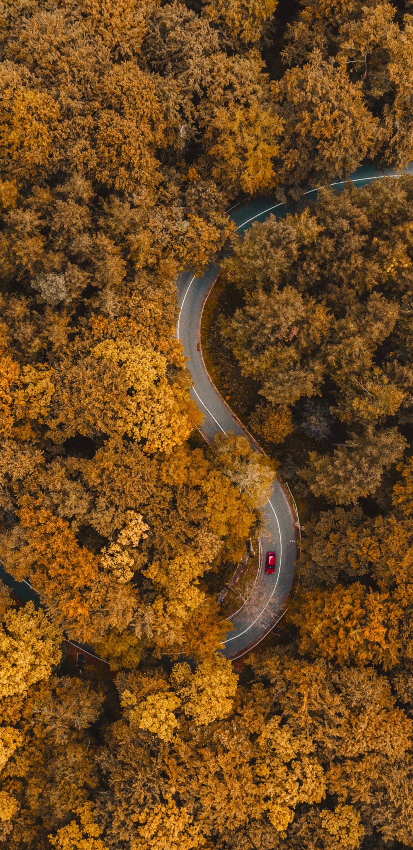 Suelo, Ambar, Asfalto, la Superficie de la Carretera, Paisaje Natural. Wallpaper in 1440x2960 Resolution