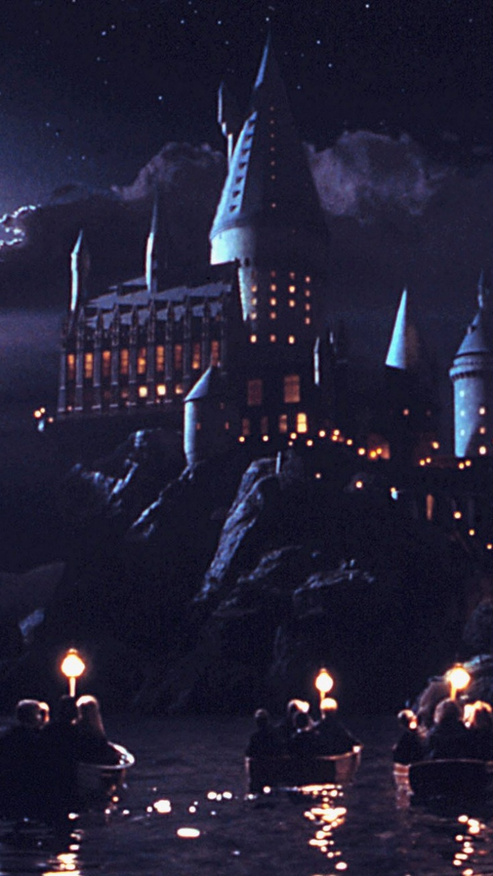 Beleuchtetes Schloss in Der Nähe Eines Gewässers Während Der Nacht. Wallpaper in 720x1280 Resolution