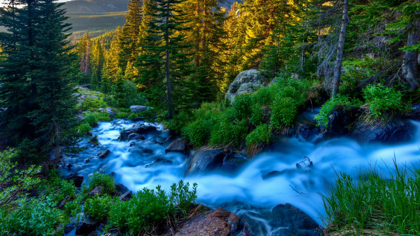 Green Trees Beside River During Daytime. Wallpaper in 1366x768 Resolution