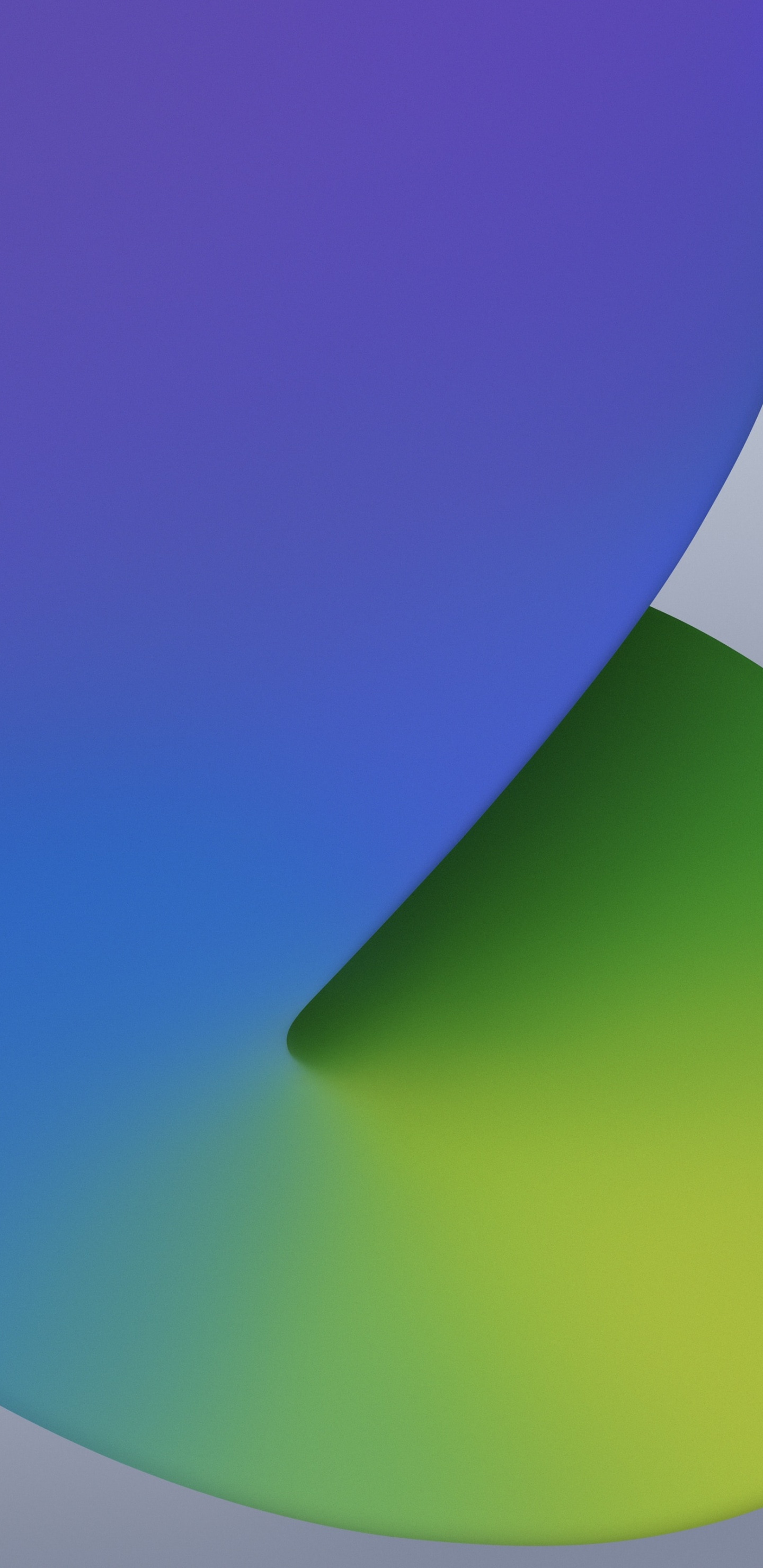 Ipad, Apple, IPad 8, Manzana, IOS 14. Wallpaper in 1440x2960 Resolution