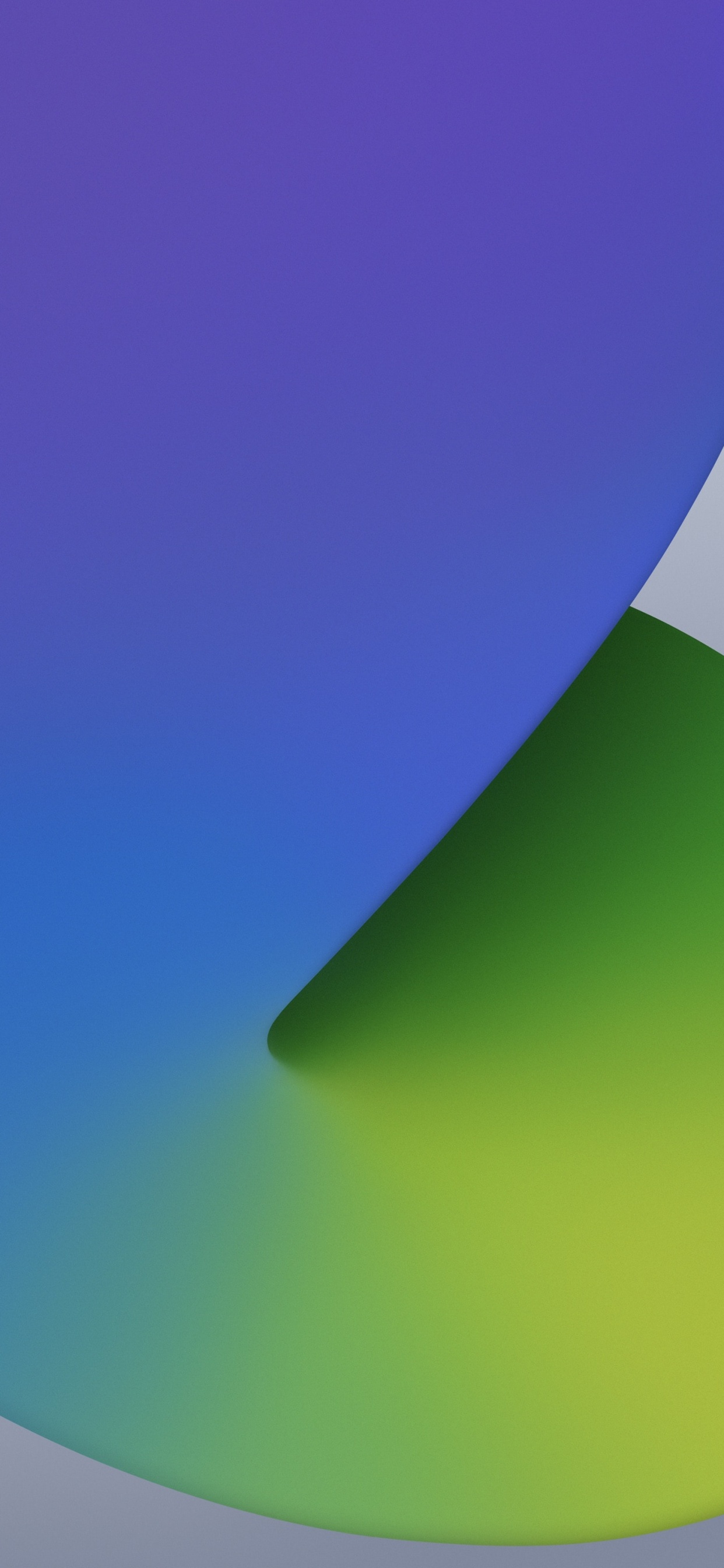 Ipad, Apple, IPad 8, 苹果, IOS 14 壁纸 1242x2688 允许