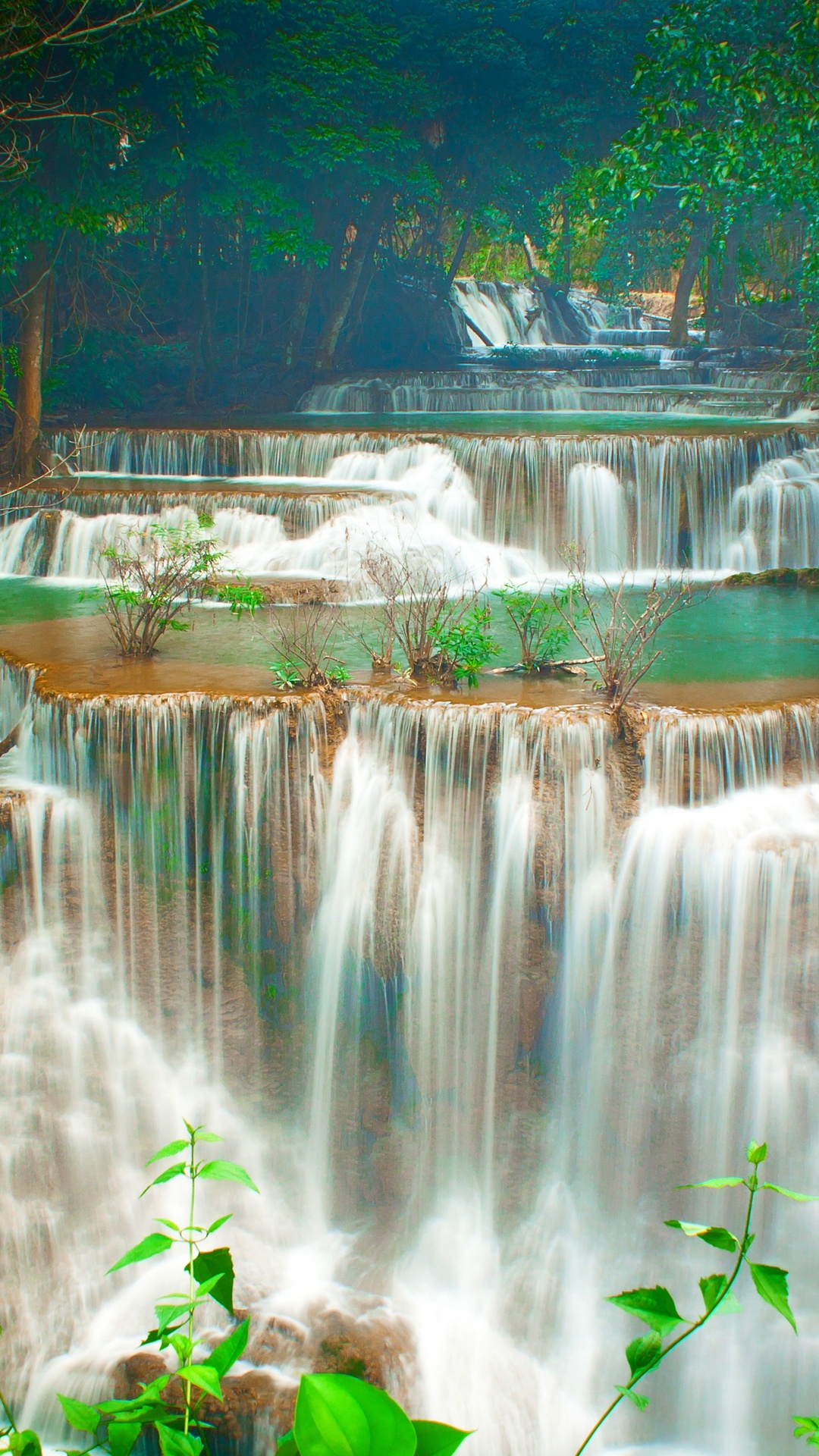 Wasserfälle im Wald Tagsüber. Wallpaper in 1080x1920 Resolution