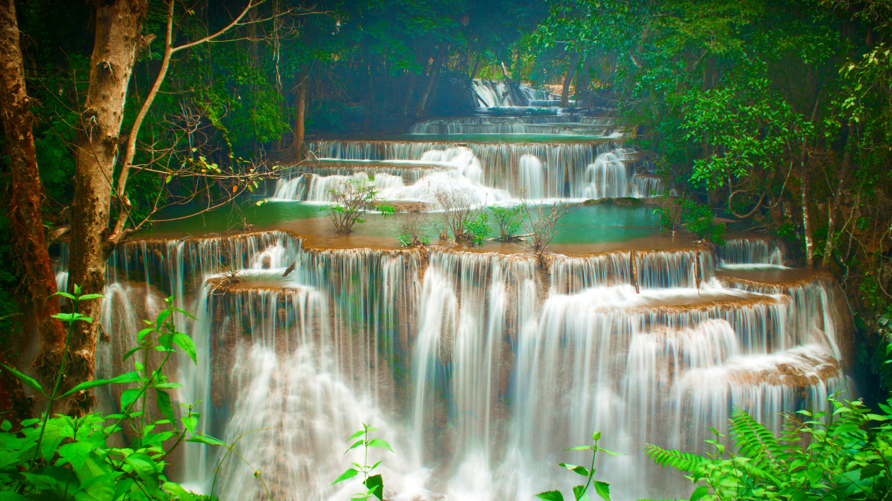Cascadas en el Bosque Durante el Día.. Wallpaper in 1280x720 Resolution