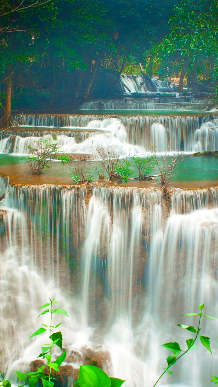Cascadas en el Bosque Durante el Día.. Wallpaper in 720x1280 Resolution