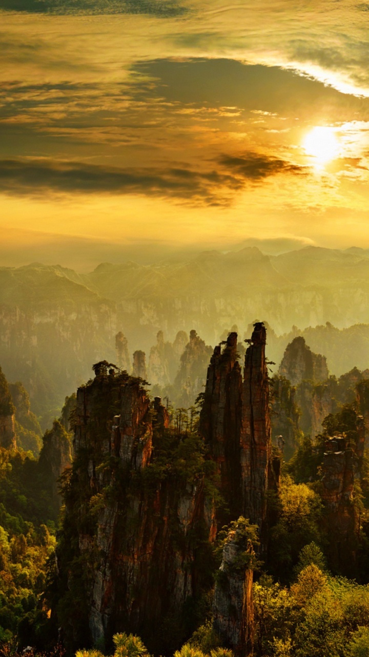 Tagsüber Grüne Bäume Auf Dem Berg. Wallpaper in 720x1280 Resolution