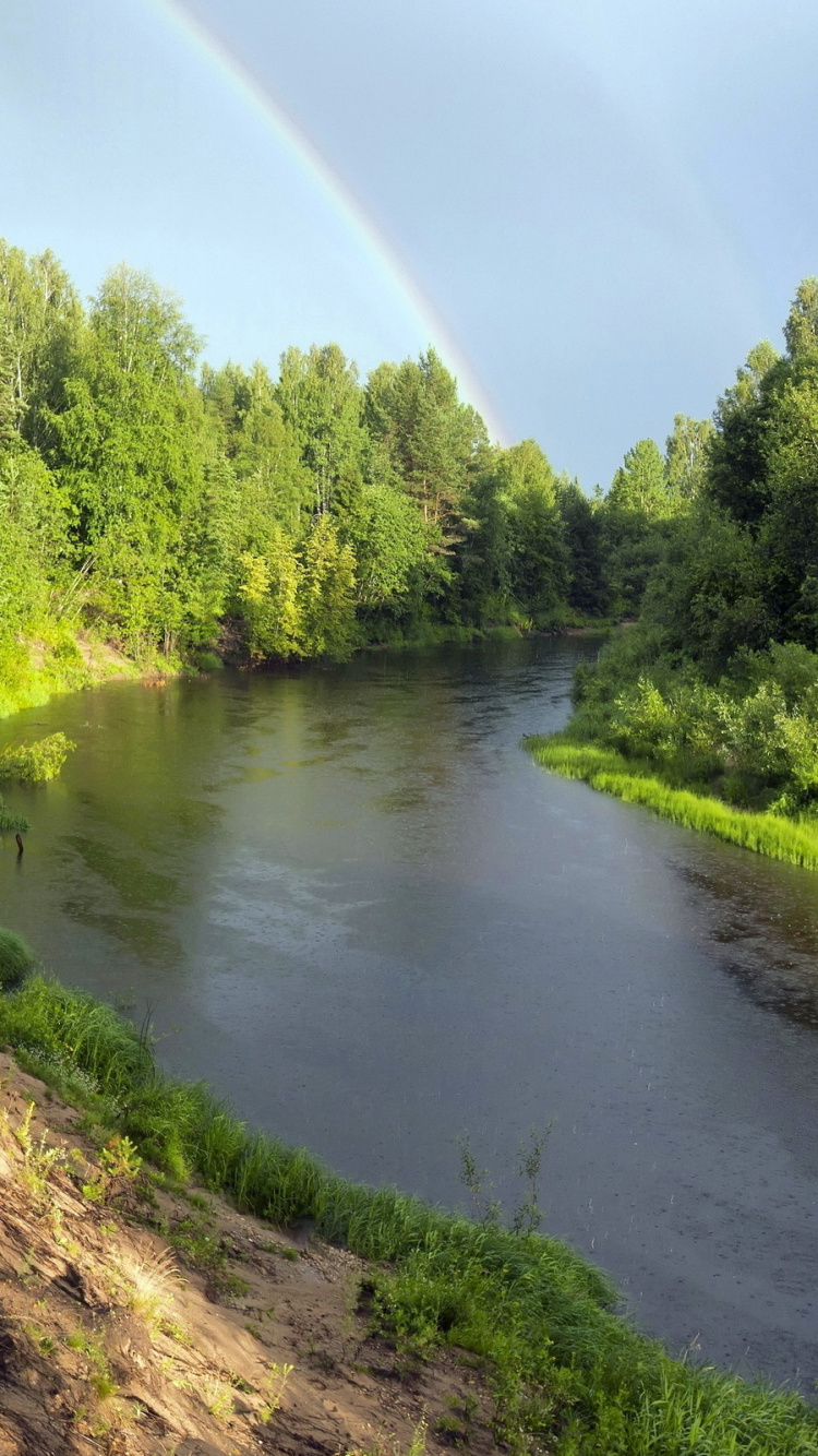 Green Trees Beside River During Daytime. Wallpaper in 750x1334 Resolution