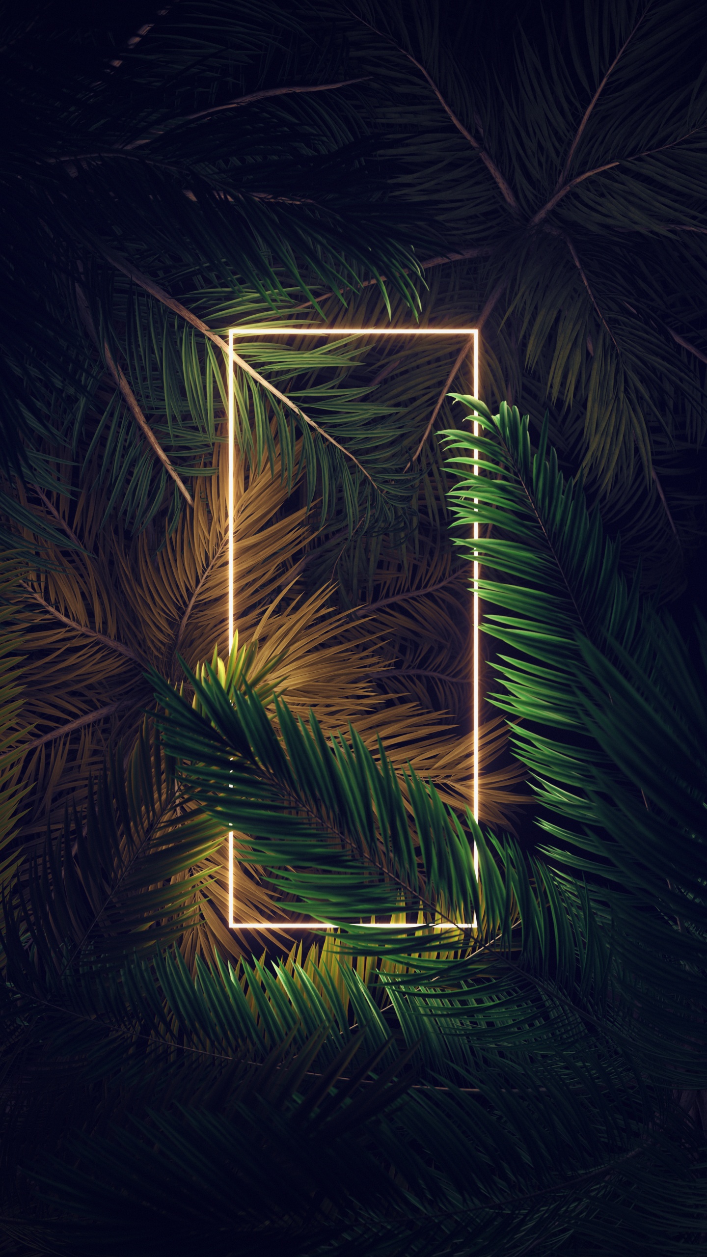 Download 1440x2560 Wallpaper Android, Ios, Plant, Terrestrial Plant, Tree Android, Ios, Plant, Terrestrial Plant, Tree. Wallpaper in 1440x2560 Resolution