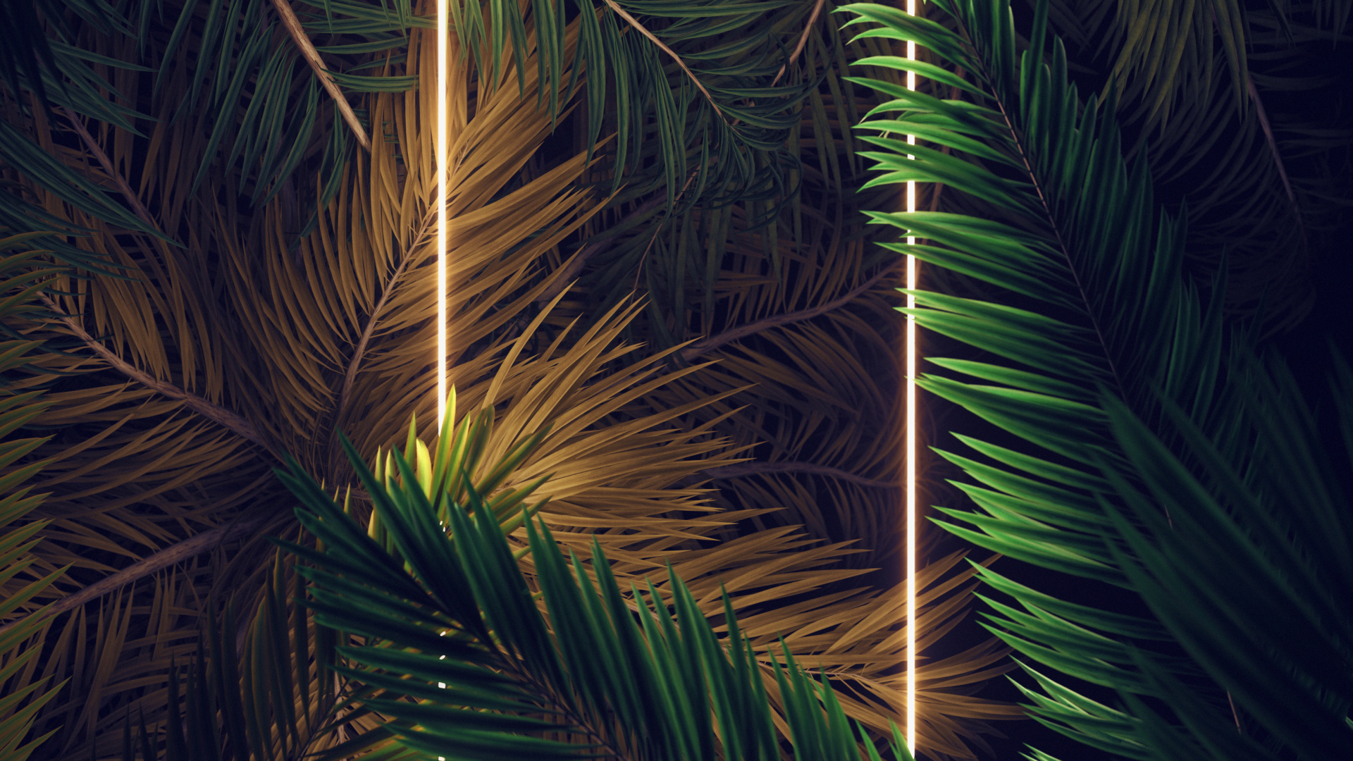 Android, IOS, Plante Terrestre, de Teintes et de Nuances, Minuit. Wallpaper in 1920x1080 Resolution