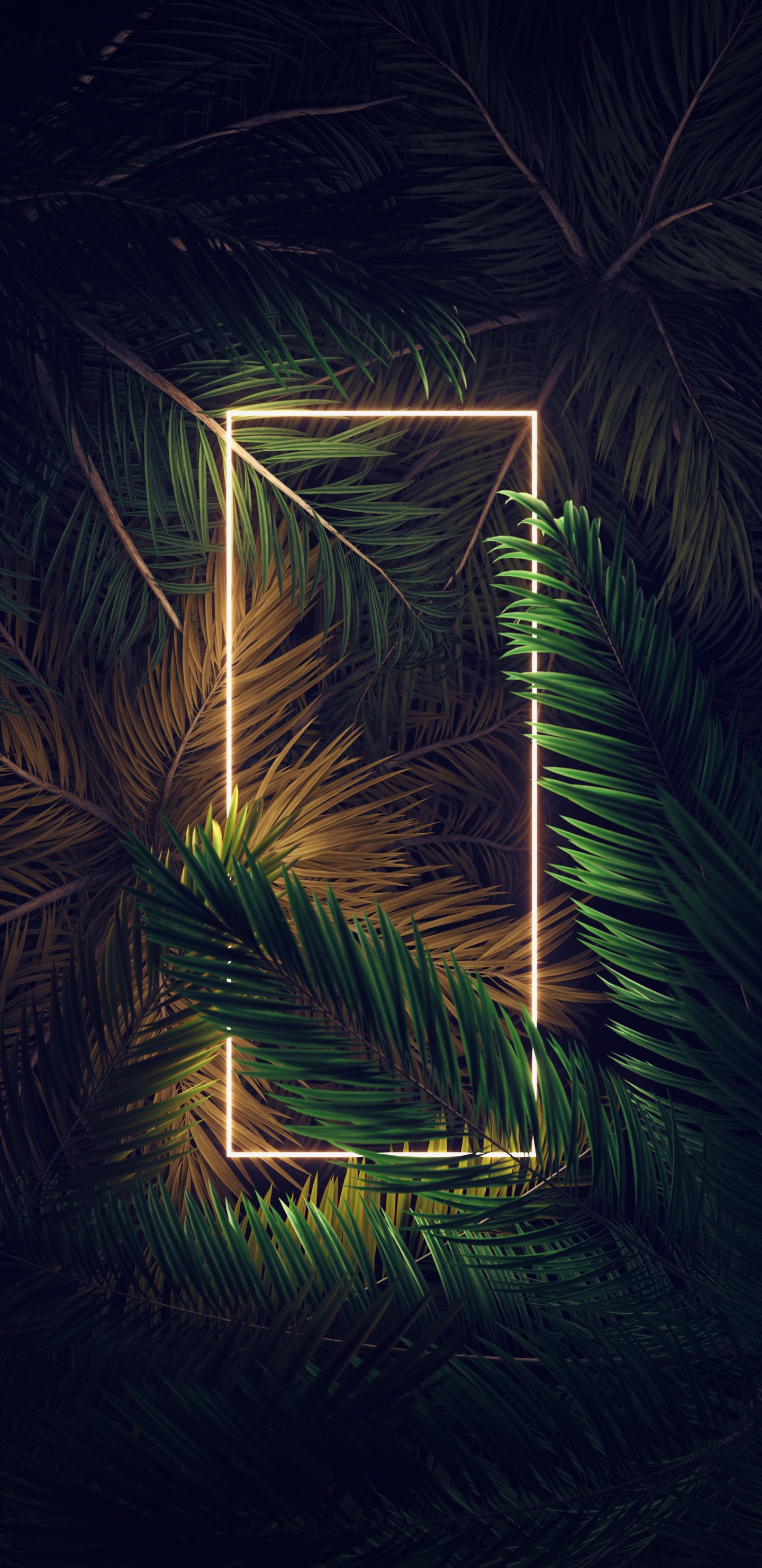 Android, Ios, Terrestrische Pflanzen, Baum, Farbtöne Und Schattierungen. Wallpaper in 1440x2960 Resolution