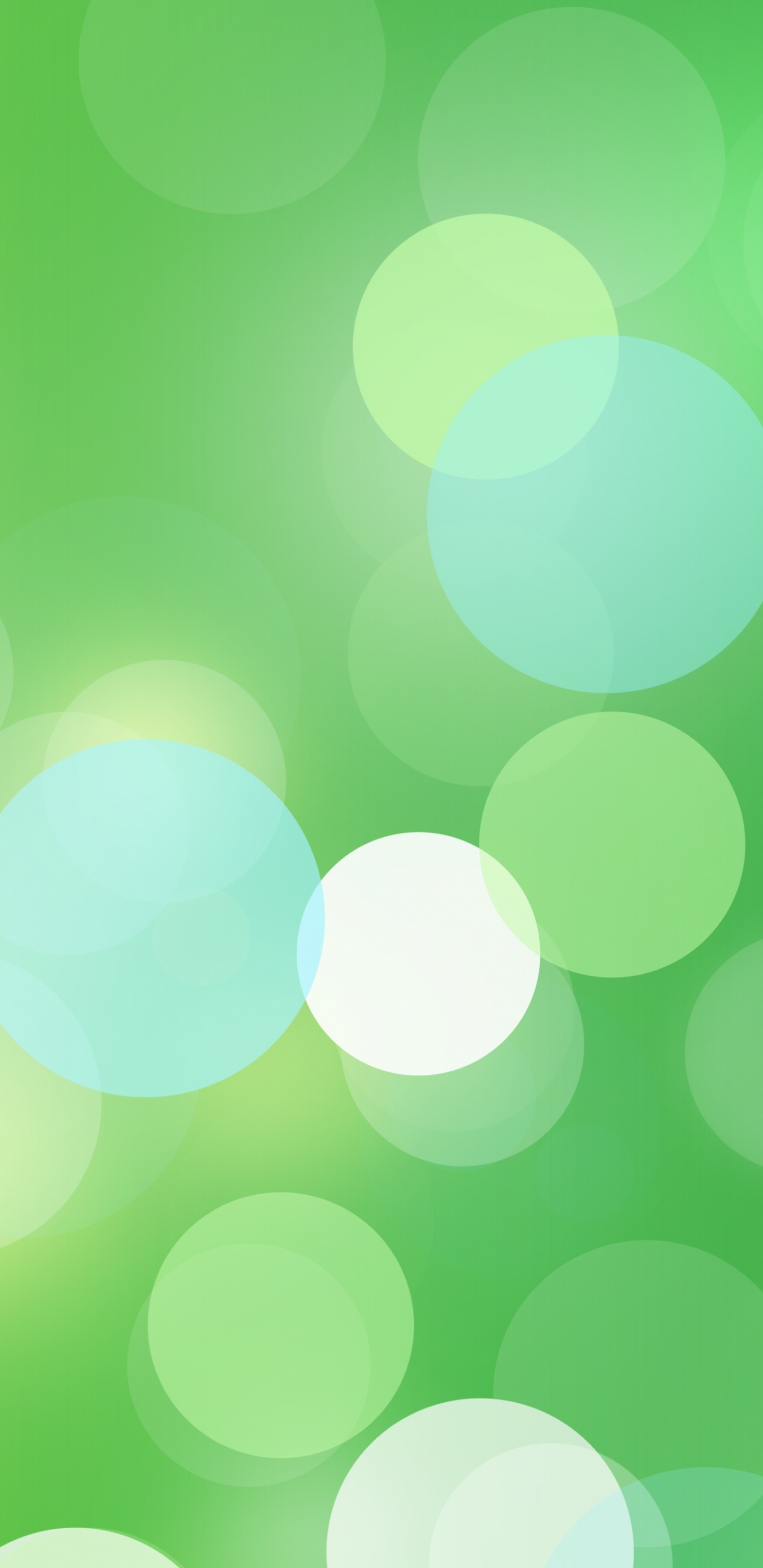 Green and White Bokeh Lights. Wallpaper in 1440x2960 Resolution