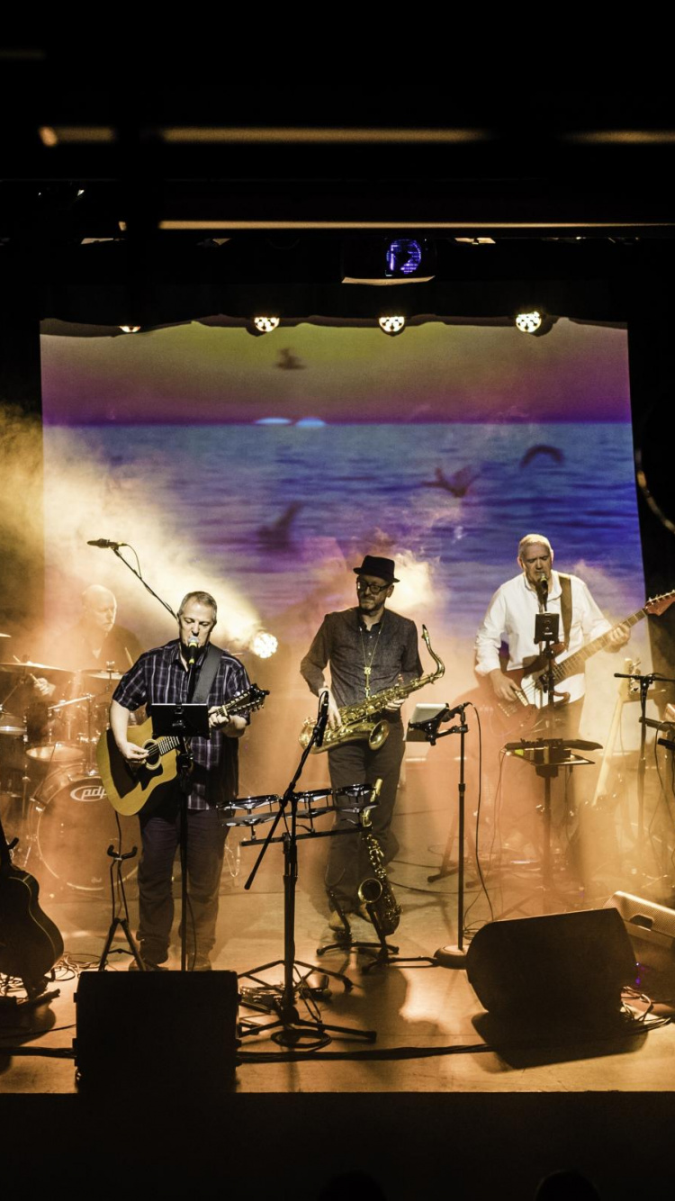 Stage, Rock Concert, Musical Ensemble, Theatre, Concert. Wallpaper in 750x1334 Resolution