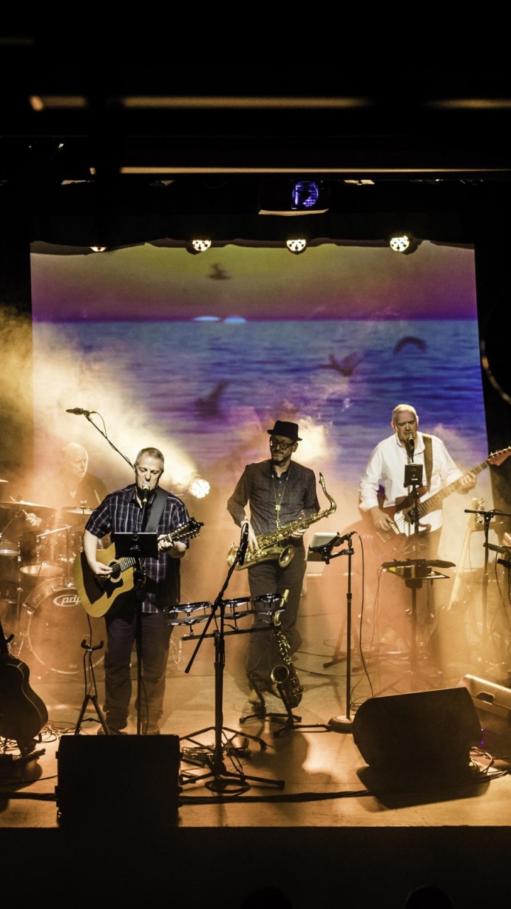 Etapa, Concierto de Rock, el Conjunto Musical, Concierto, Entretenimiento. Wallpaper in 720x1280 Resolution