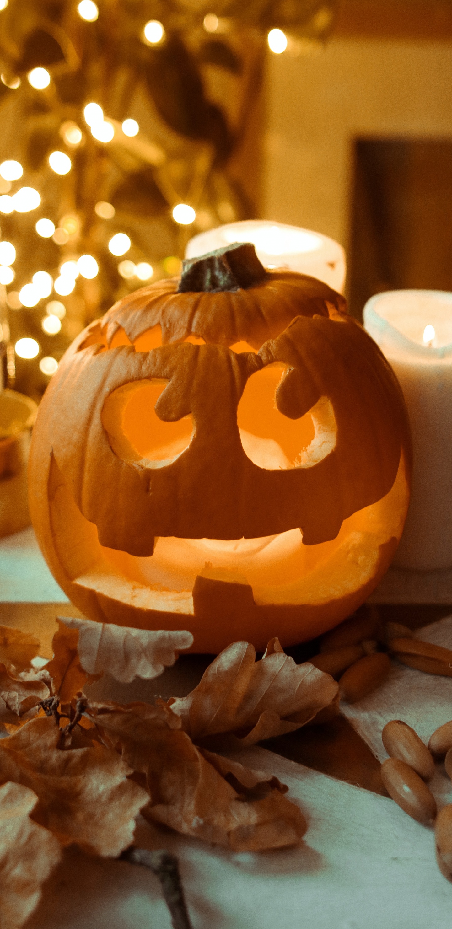 Halloween Costume, Costume, Pumpkin, Party, Amber. Wallpaper in 1440x2960 Resolution