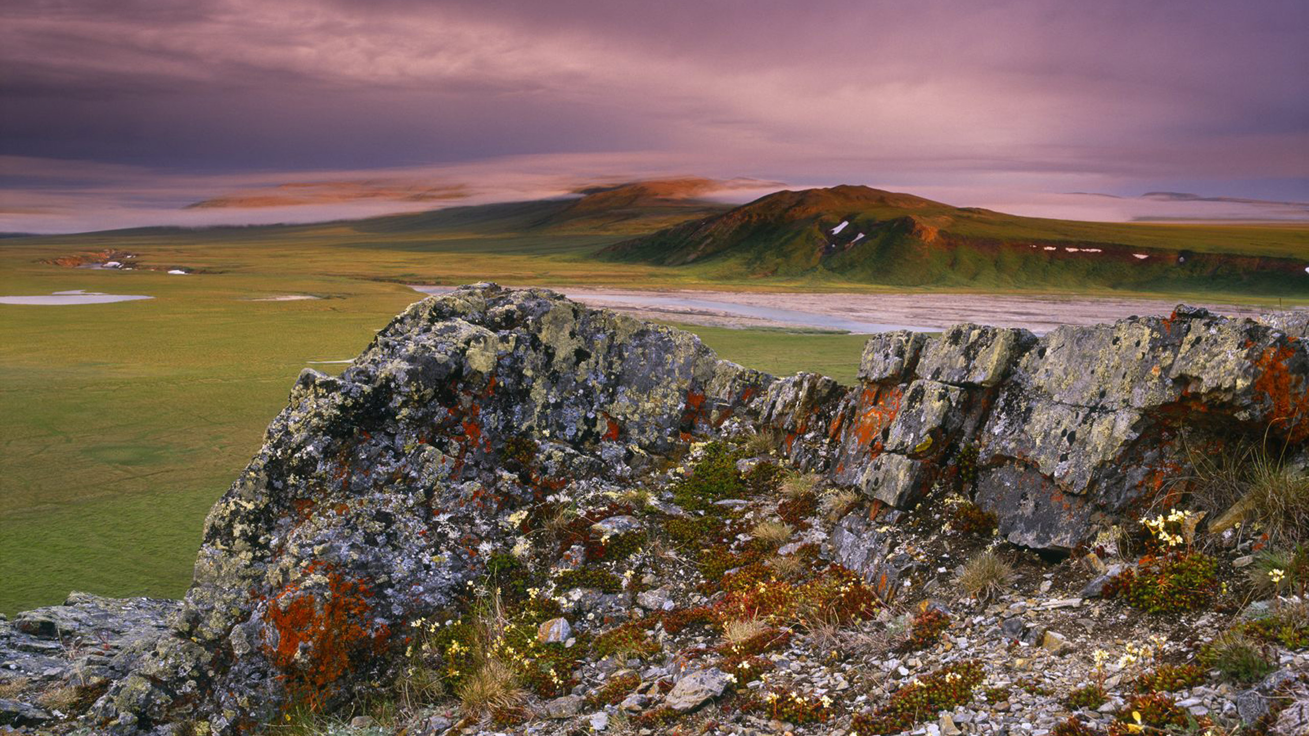 Gray and Green Rock Formation. Wallpaper in 2560x1440 Resolution