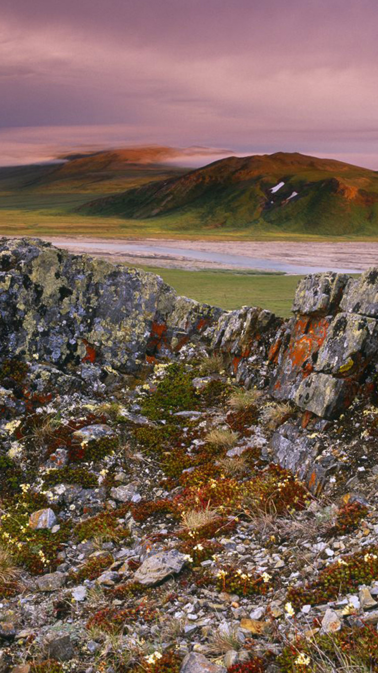 Gray and Green Rock Formation. Wallpaper in 750x1334 Resolution