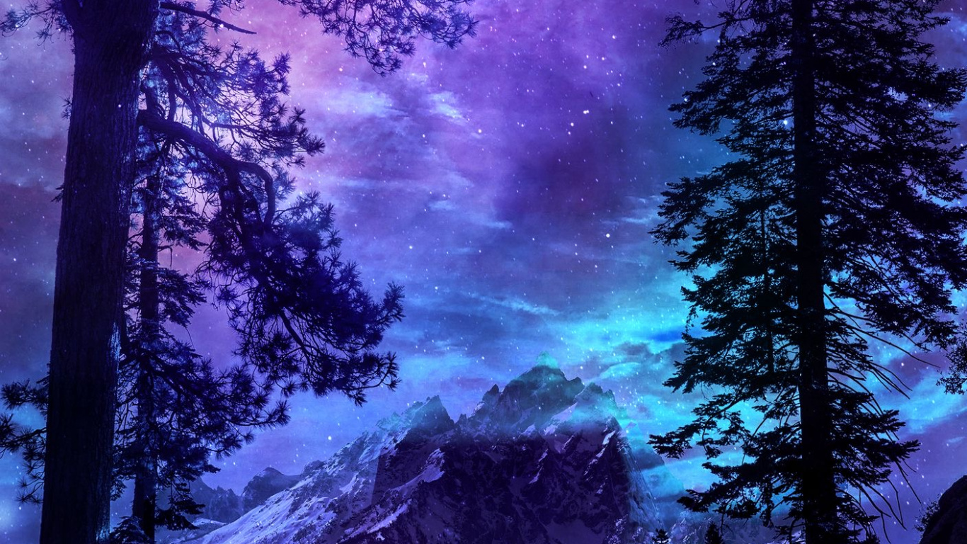 气氛, 紫色的, 性质, 自然景观, Evergreen 壁纸 1366x768 允许