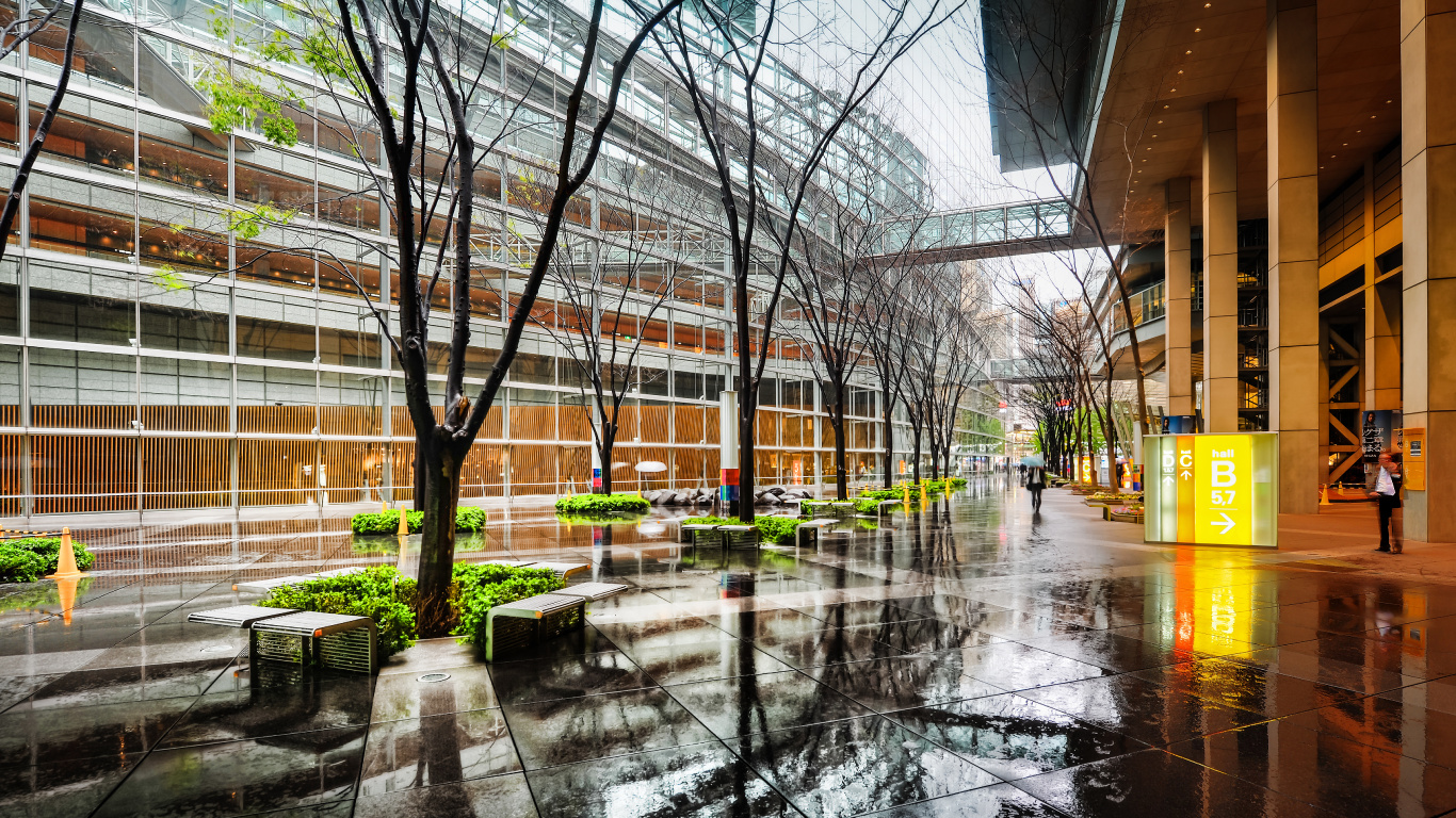 Bare Trees Near Brown Building During Daytime. Wallpaper in 1366x768 Resolution