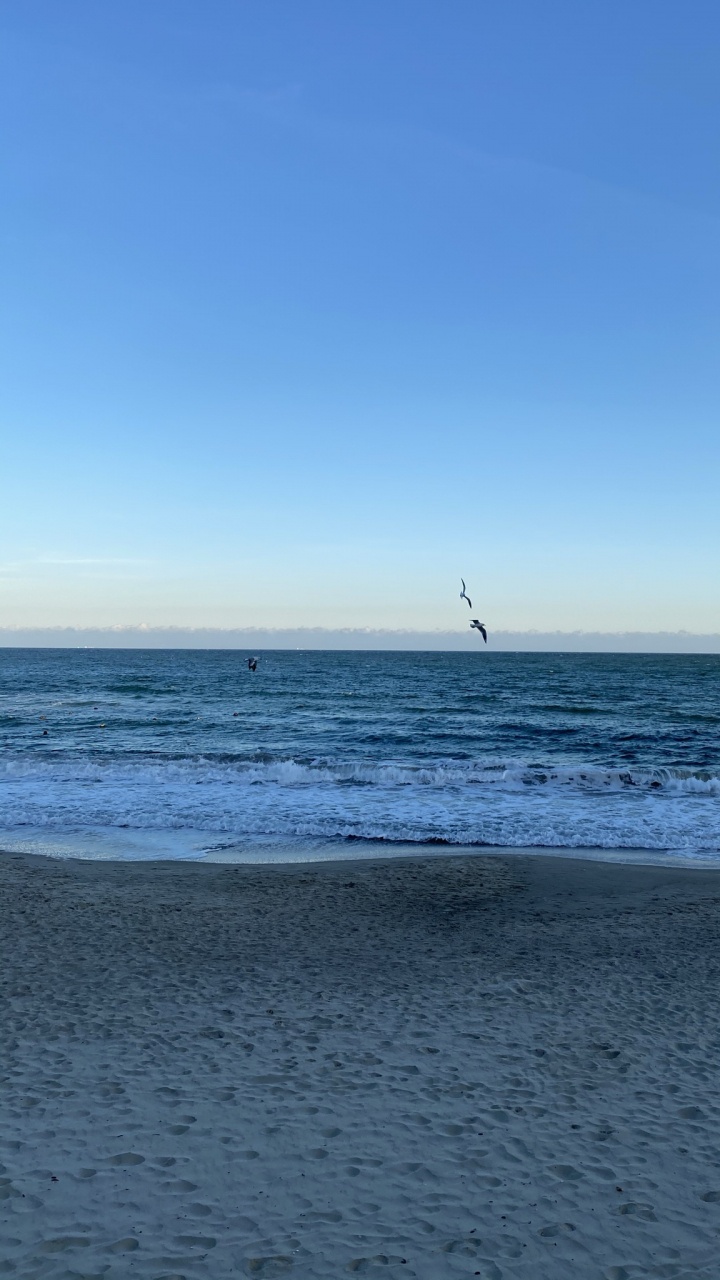 大海, 物理学, 人体内的水, 性质, 流体 壁纸 720x1280 允许