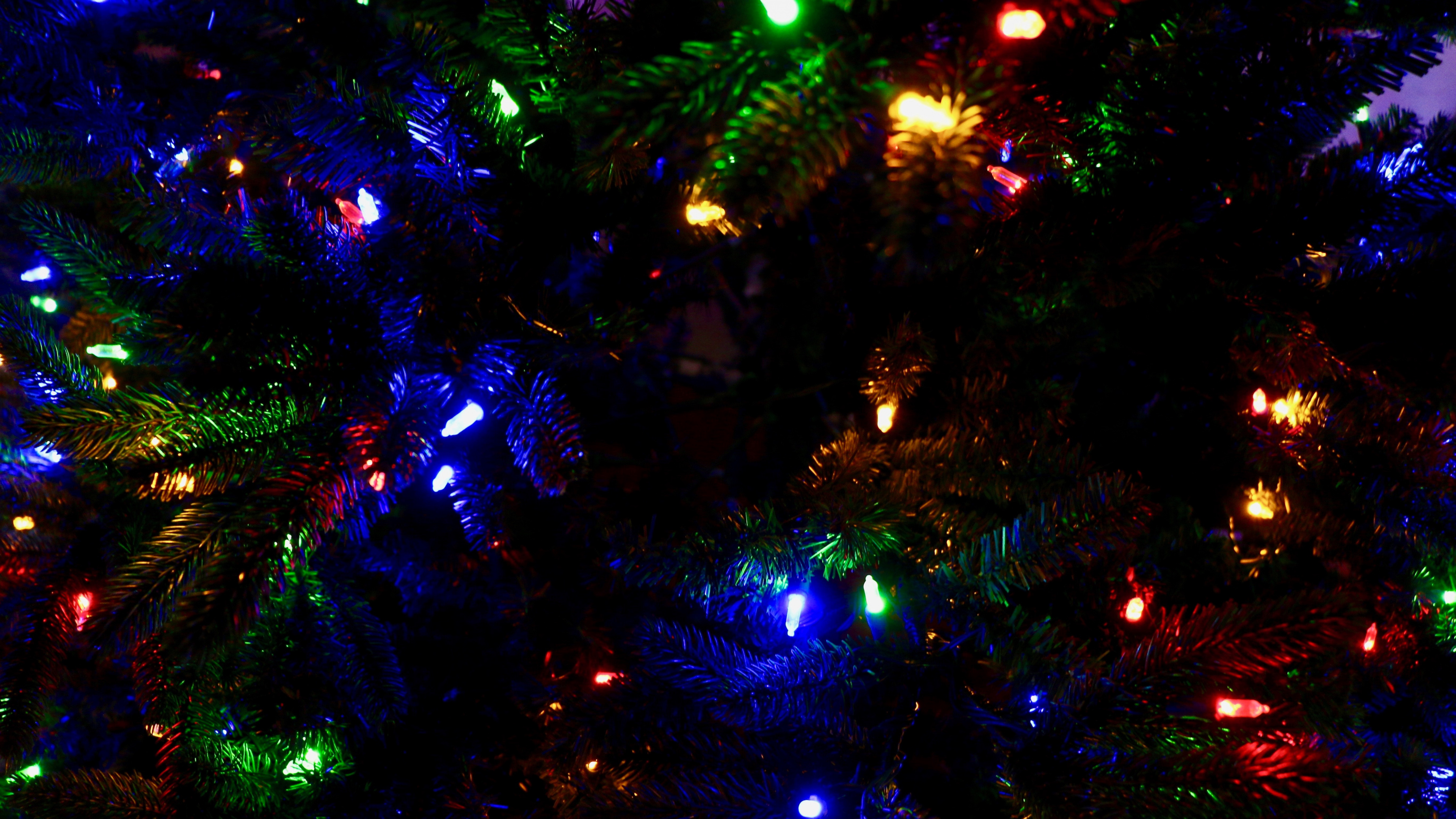 Christmas Day, Christmas Lights, Blue, Light, Tree. Wallpaper in 3840x2160 Resolution