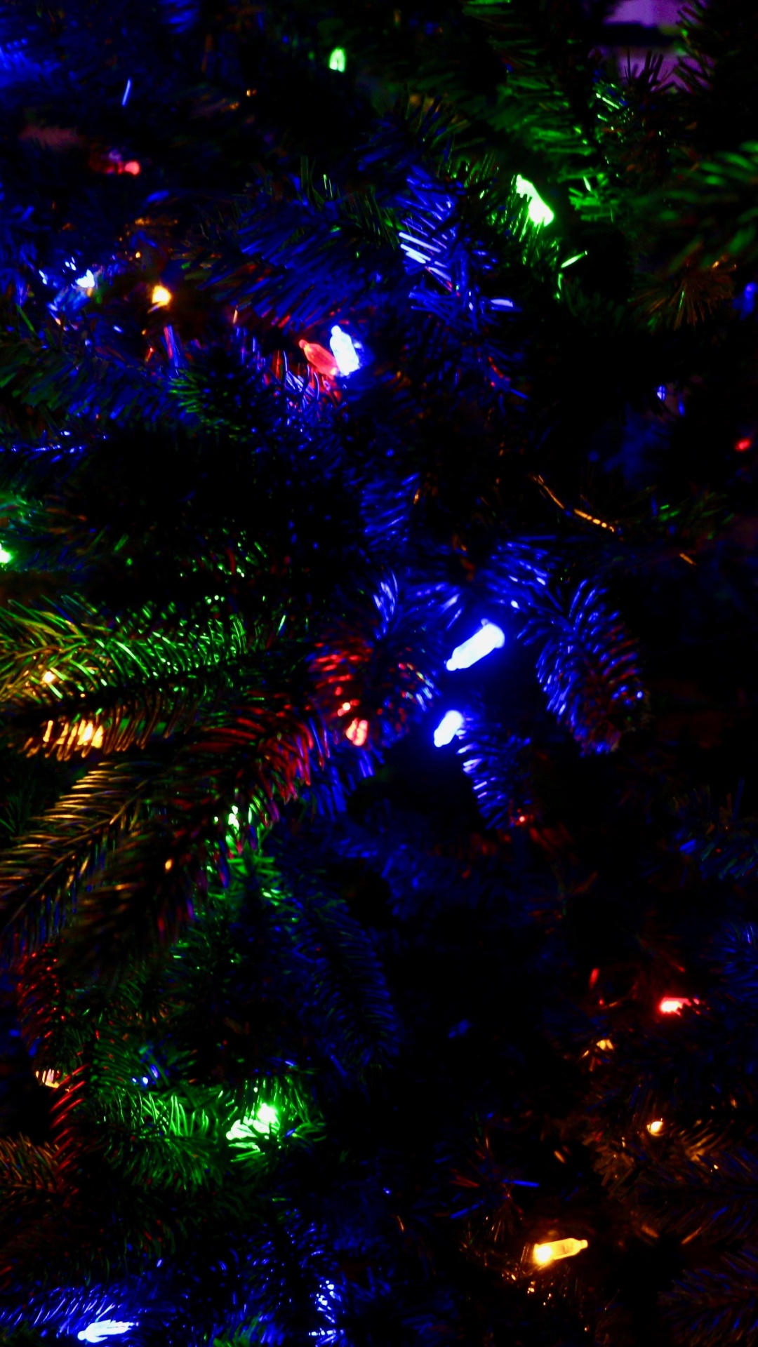 Weihnachten, Weihnachtsbeleuchtung, Blau, Licht, Baum. Wallpaper in 1080x1920 Resolution