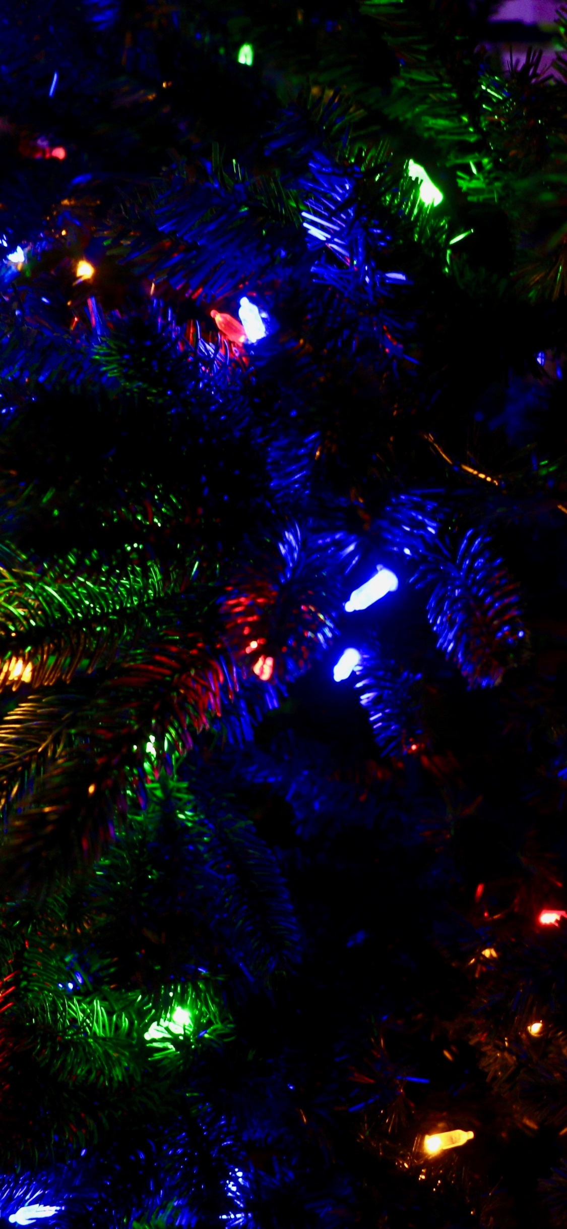 Weihnachten, Weihnachtsbeleuchtung, Blau, Licht, Baum. Wallpaper in 1125x2436 Resolution