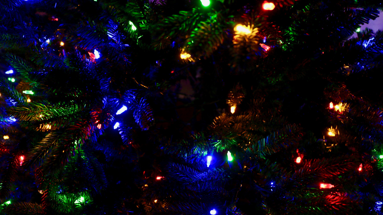 Weihnachten, Weihnachtsbeleuchtung, Blau, Licht, Baum. Wallpaper in 1280x720 Resolution