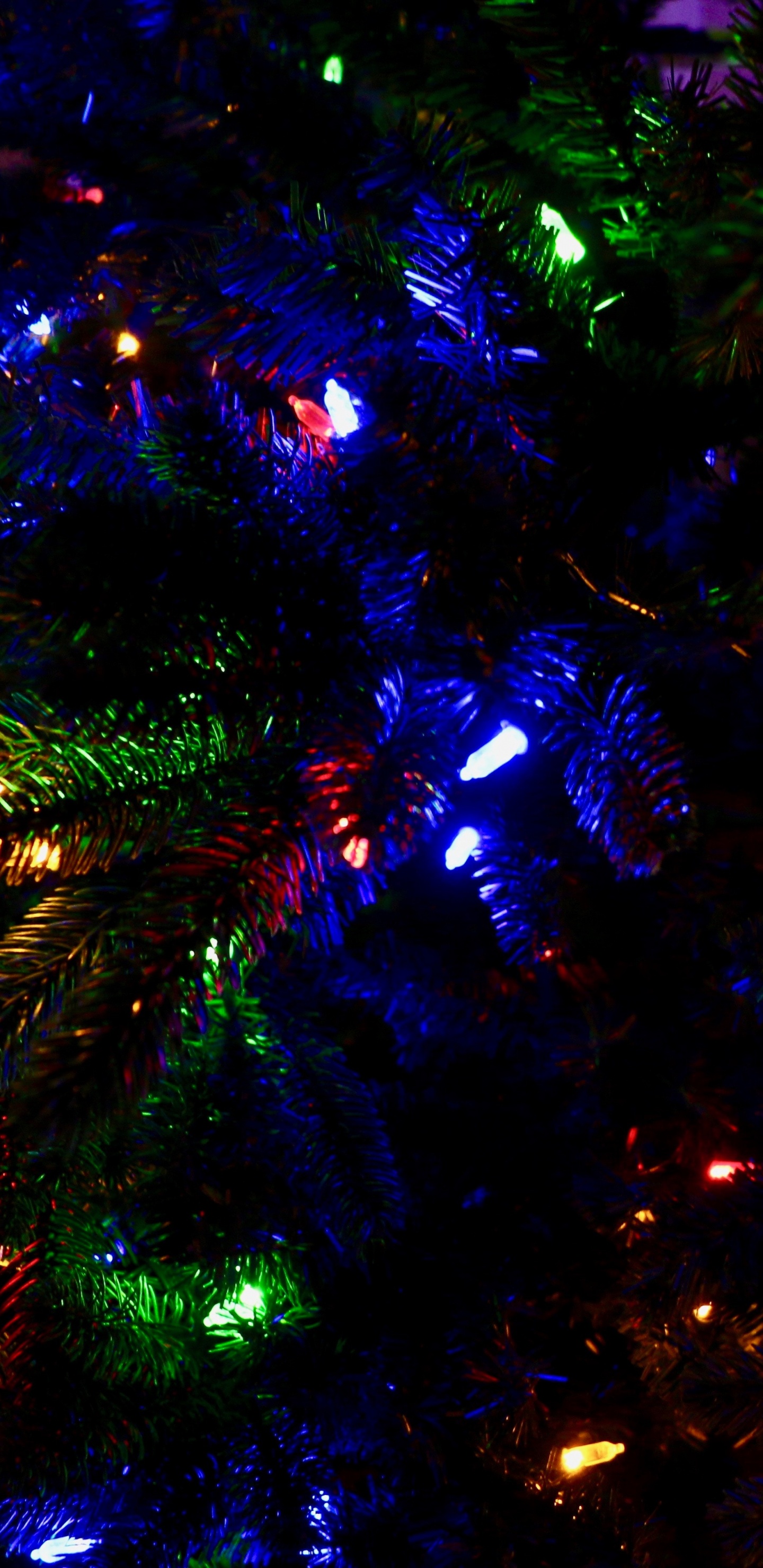 Weihnachten, Weihnachtsbeleuchtung, Blau, Licht, Baum. Wallpaper in 1440x2960 Resolution