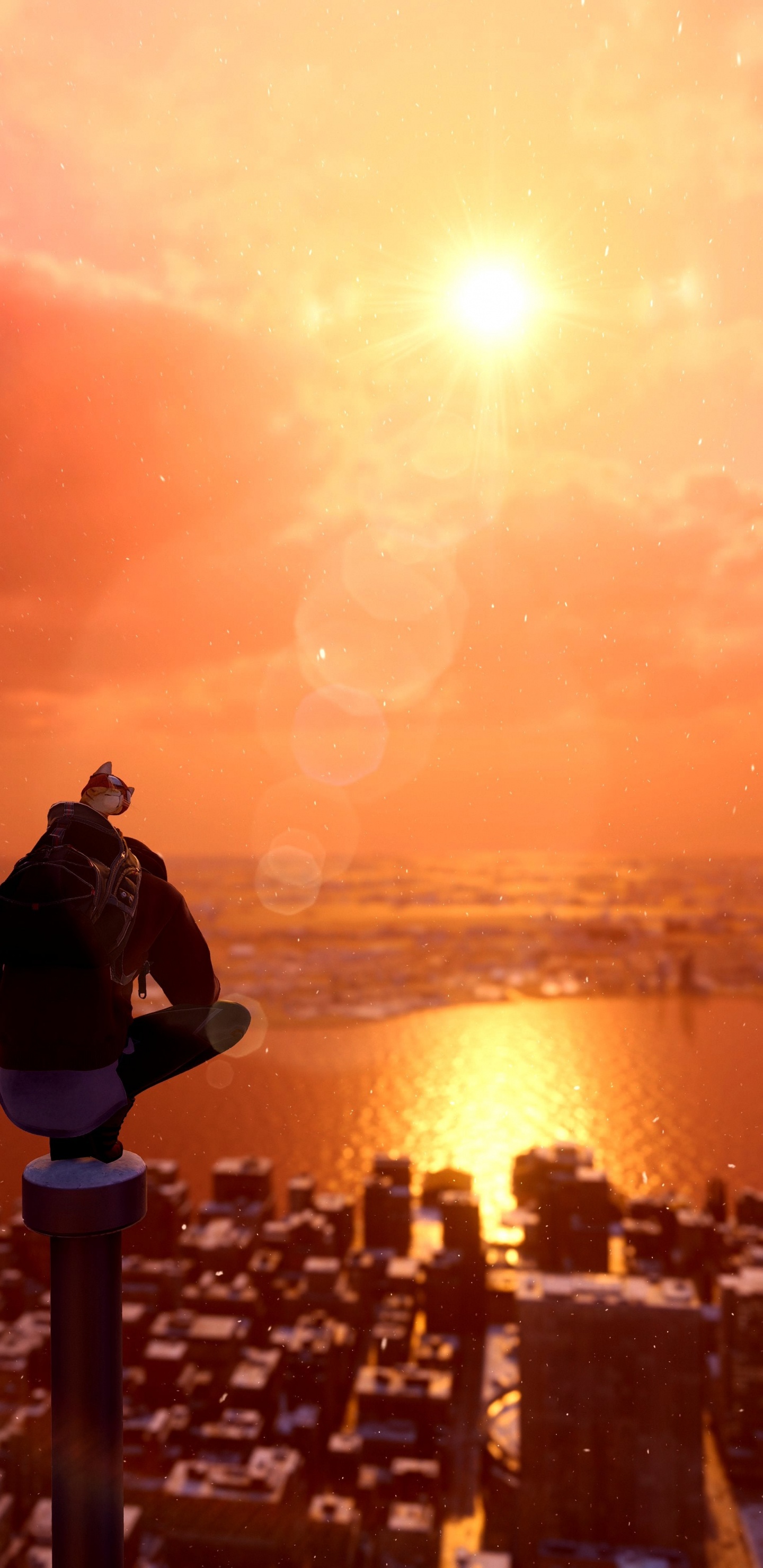 气氛, 余辉, 阳光, 人体内的水, 日落 壁纸 1440x2960 允许