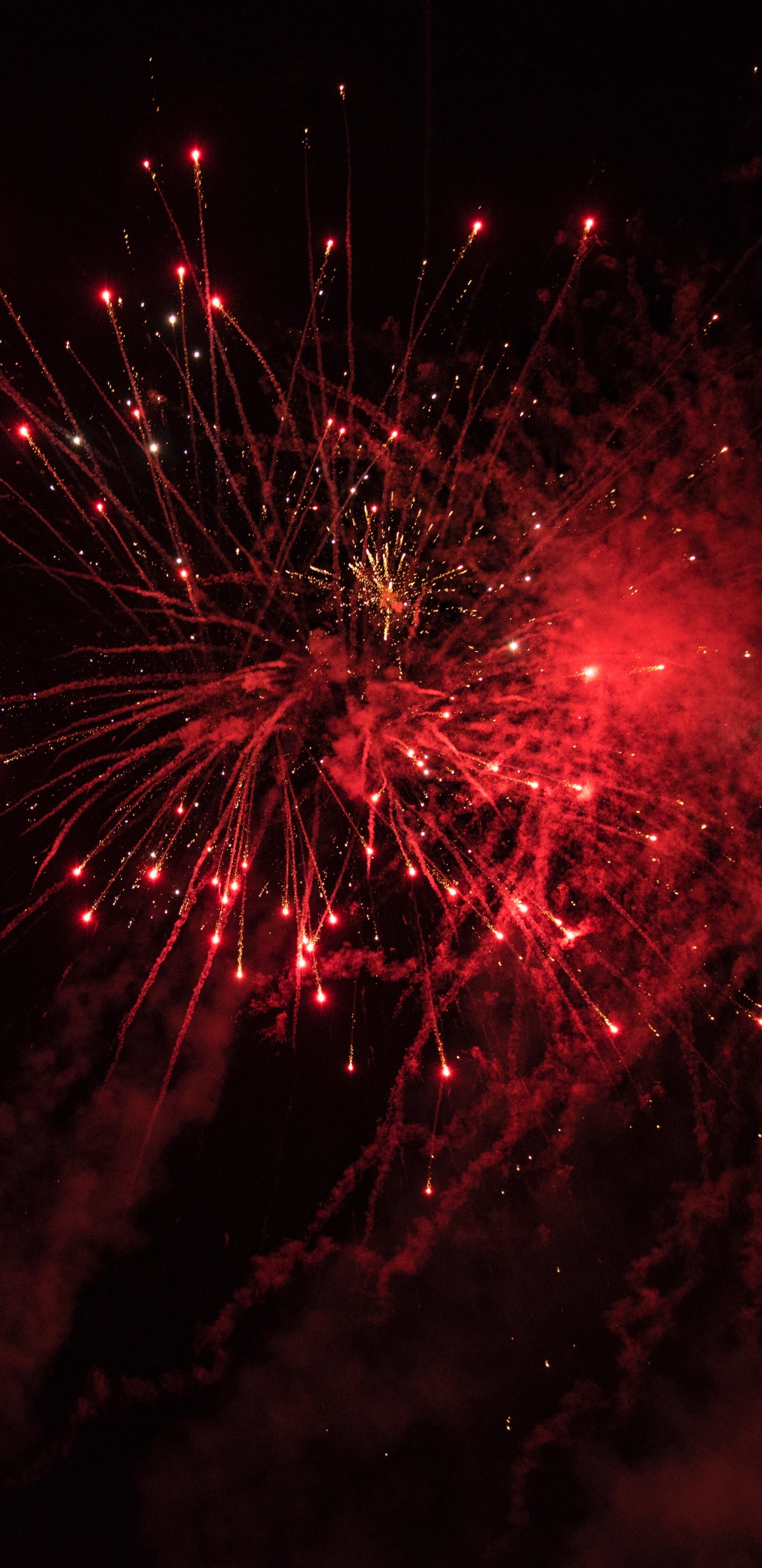 Fireworks, Firecracker, Red, Light, Night. Wallpaper in 1440x2960 Resolution