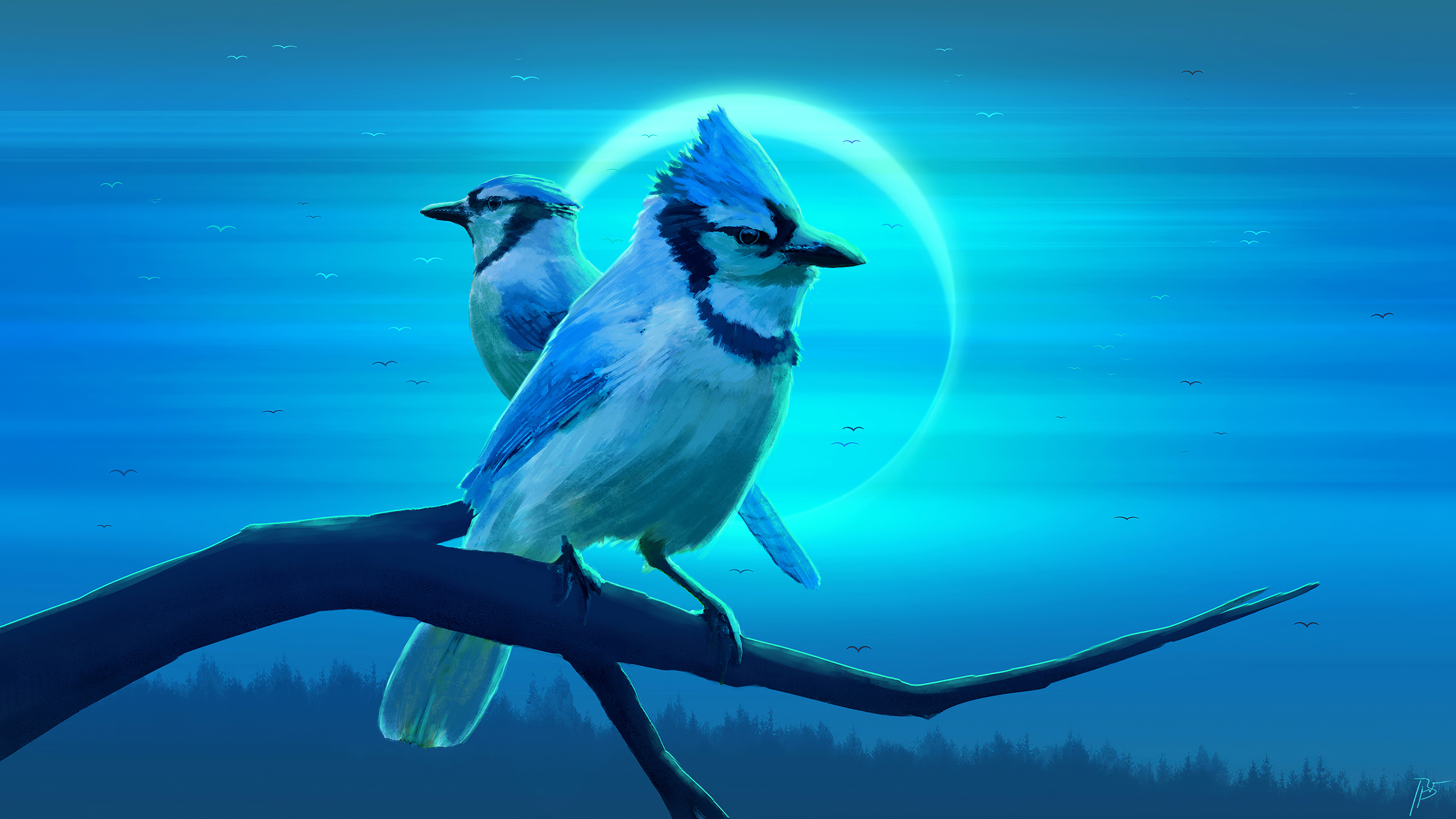 Oiseau Bleu et Blanc Sur Une Branche D'arbre Marron. Wallpaper in 2560x1440 Resolution
